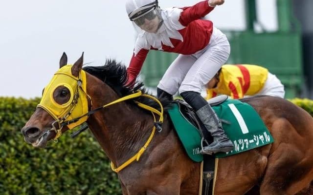 【エルムS枠順確定】ヴァルツァーシャルは6枠9番、ドゥラエレーデは3枠3番