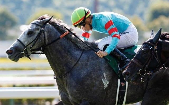 【CBC賞枠順確定】ヤマニンアルリフラは7枠14番、ジューンブレアは5枠9番