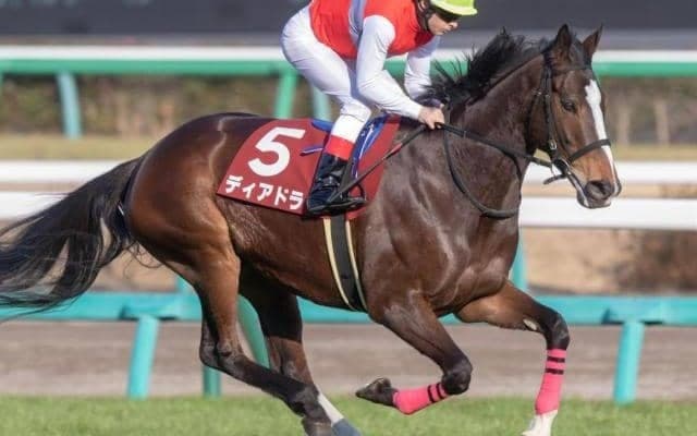 半姉は名牝ディアドラ 3歳のザンクトガレンが待望のデビュー戦だ