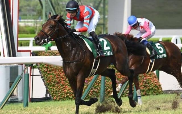 【中京記念想定馬・騎手】キープカルム、エコロヴァルツなど13頭