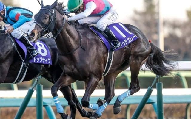 【エルムS予想】前走での大敗は危険信号!? 臨戦過程や前走の結果から割引が必要な人気馬とは