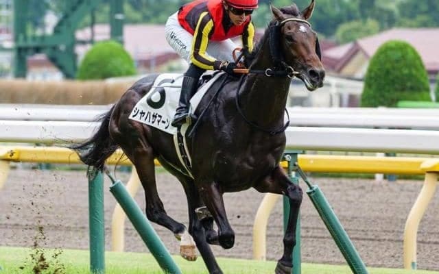 【浜名湖特別】半兄に日本ダービー馬と皐月賞馬 シャハザマーンがバデル騎手と特別初勝利なるか