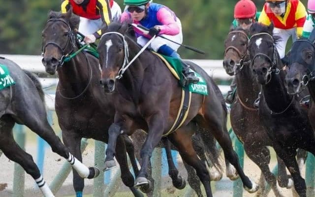 CBC賞は雨中の戦いか!? メイショウソラフネが高配提供だ