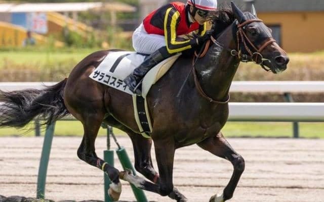 中京芝は母の父ディープインパクトが特注 サラコスティが狙い目だ