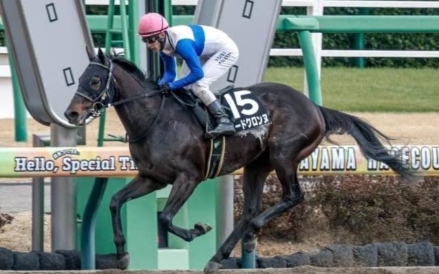【今日の注目ポイント】札幌でエルムS 武豊騎手が4600勝にリーチ