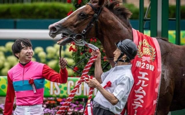 【エルムS】中波乱傾向の一戦 穴でも狙いたい血統は