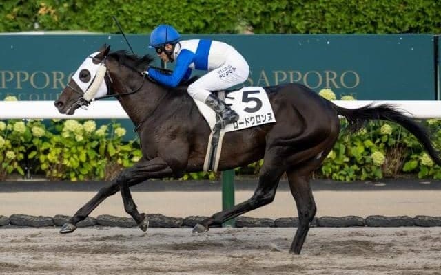 【エルムS予想】北海道開催で唯一のダート重賞 直線が短く追い込み一手では厳しい