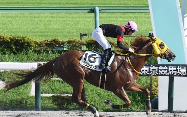 【競馬予想】高配当必至のレパードＳで狙える馬とは？　穴党記者推奨の好走条件に合致した２頭