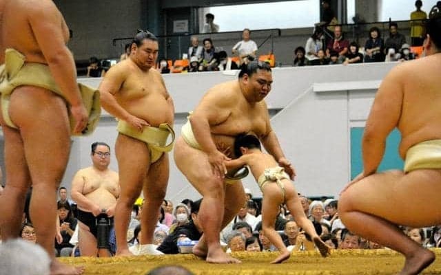 大相撲夏巡業「古河場所」にファン沸く　茨城ゆかり両横綱そろい踏み