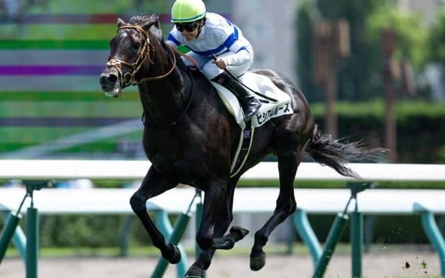 【札幌5R新馬戦結果】サートゥルナーリア産駒ヒシアムルーズが初陣飾る