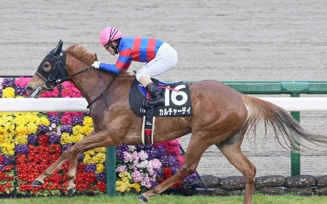 【競馬予想】 CBC賞は「中京・芝1200ｍ」に合う血統から絞る　短距離に強い２頭の牝馬に期待