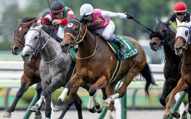 【CBC賞前日オッズ】ジューンブレアが4.0倍で1番人気