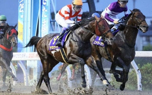 【盛岡・クラスターカップ】夏のダート短距離決戦…武豊チカッパらが激突