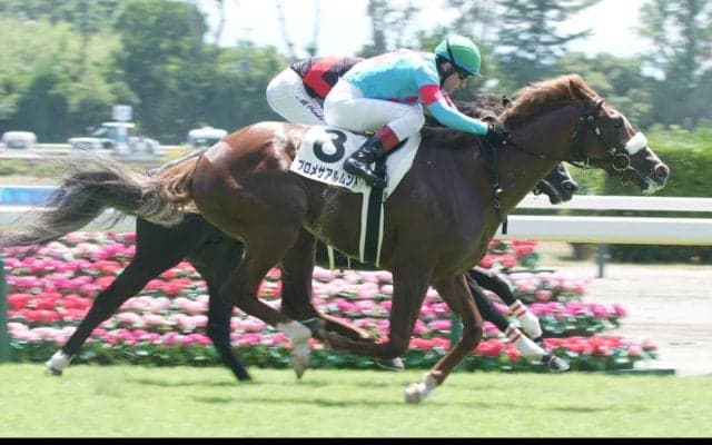 【新馬/新潟4R】G1・9勝アーモンドアイの仔 プロメサアルムンドがデビューV