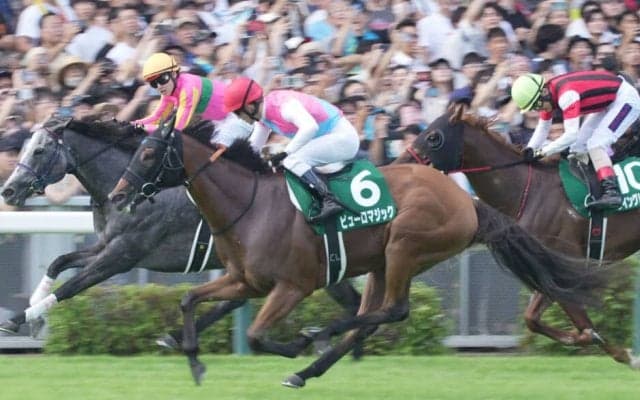 【アイビスSD】ルメール「ベストコンディションでした」ピューロマジックが重賞3勝目