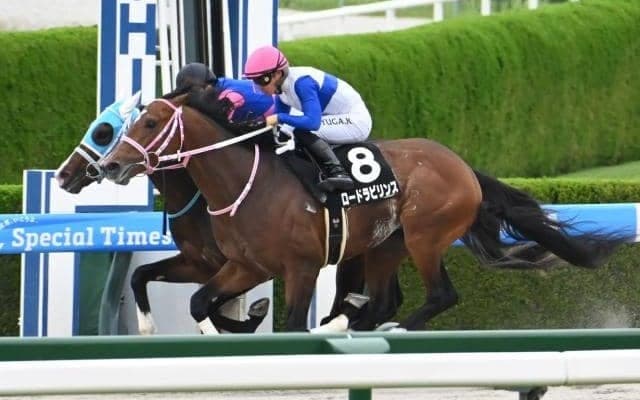 【今日の注目ポイント】新潟でレパードSと中京でCBC賞