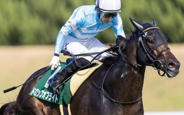 【CBC賞】大外枠は割り引きが必要か ディープインパクト系が好成績