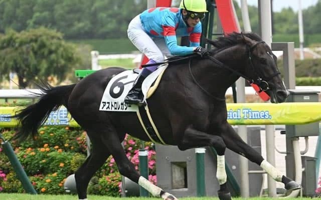 【中京4R新馬戦結果】リオンディーズ産駒アストロレガシーが好位抜け出しV