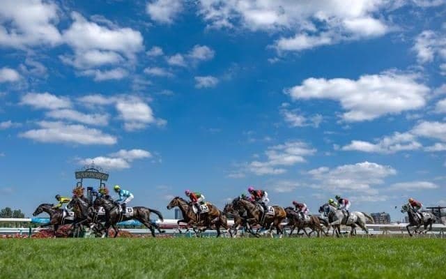 【UHB賞結果】フィオライアがゴール前の大激戦を制してオープン初勝利