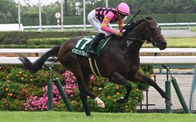 【CBC賞結果】インビンシブルパパが逃げ切り重賞初V 佐々木大輔騎手は2日連続の重賞勝利