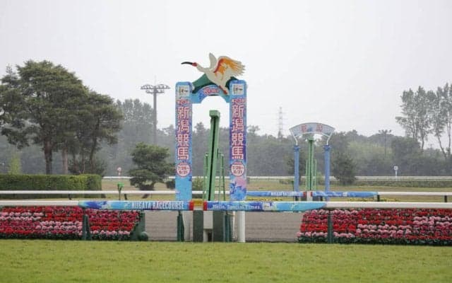 【レパードS】ドンインザムードが重賞初制覇