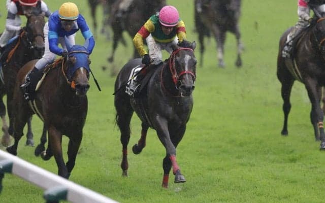 【驀進特別】海外転戦のエコロジークが快勝