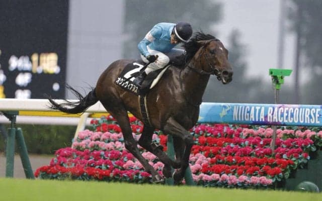 【佐渡S】オクタヴィアヌスがオープン入り