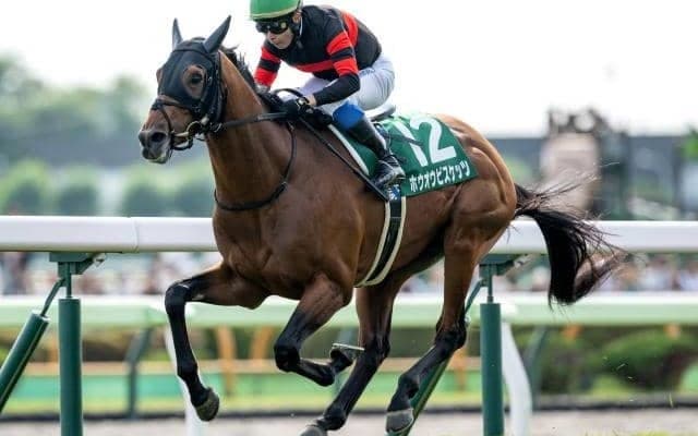 札幌記念、中京記念など3重賞とフランスでジャックルマロワ賞/今週の競馬界の見どころ