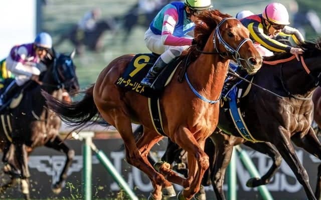 【中京記念見どころ】決め手光るウォーターリヒトの切れ味に注目