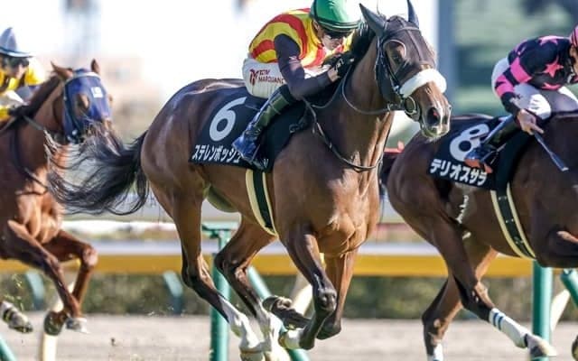 【札幌記念見どころ】実績上位ステレンボッシュの復活に期待