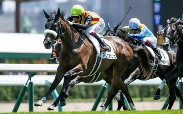 【札幌記念想定騎手】ホウオウビスケッツは岩田康誠騎手、ステレンボッシュは池添謙一騎手