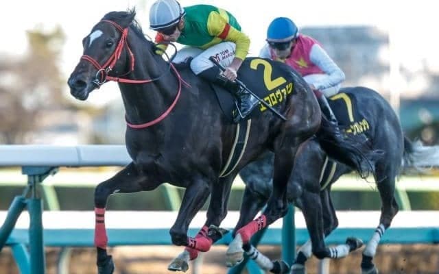 【中京記念想定騎手】エコロヴァルツは坂井瑠星騎手、エルトンバローズは川田将雅騎手