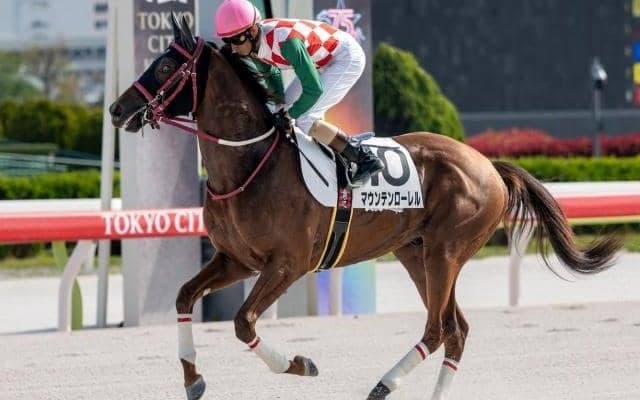 【大井・黒潮盃枠順】4連勝中のマウンテンローレルは5枠5番