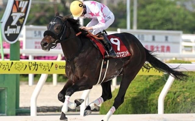 【門別・北海道SC枠順】4連勝中のマテンロウコマンドは2枠2番 出走8頭の少頭数