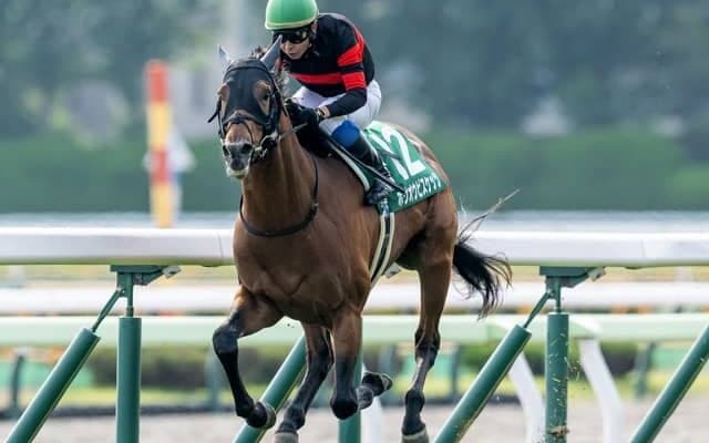 【AI予想・札幌記念】好メンバーが集った伝統の一戦！ 人工知能は中距離重賞で実績残す3頭に高評価