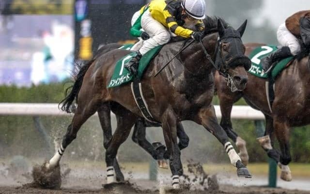 アジアエクスプレス産駒が2週続けて重賞V レパードS制したドンインザムードの血統背景を深掘り