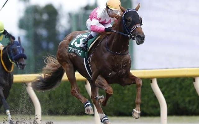 21年、22年の全日本ダート種牡馬ランキングで首位 血統表でよく見る名馬「ヘニーヒューズ」を深堀り