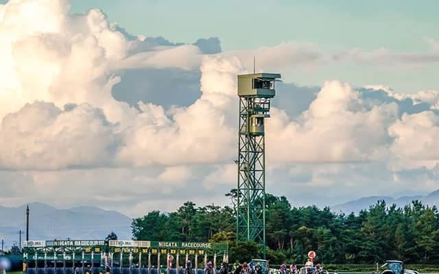 各競馬場でミストやシャワーの設置も推進 暑熱対策は「競走時間帯の拡大」にとどまらず