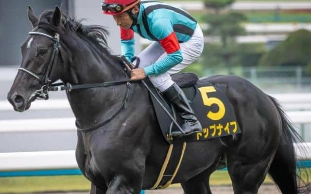 札幌記念で複勝率46％の横山典弘騎手 トップナイフで波乱を呼ぶか