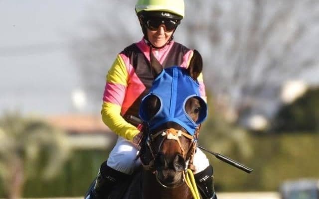 【札幌記念】史上初のセン馬Vなるか シュトルーヴェがR.キング騎手で復活期す