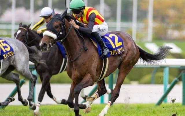 【札幌記念】重賞2勝目を狙う桜花賞馬 ステレンボッシュがデビューの地で復活なるか