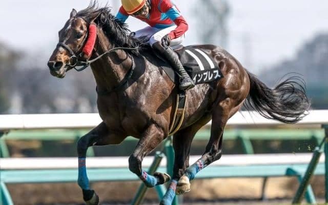 【新潟JS予想オッズ】インプレスが予想1番人気