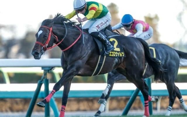 【中京記念予想オッズ】エコロヴァルツが予想1番人気