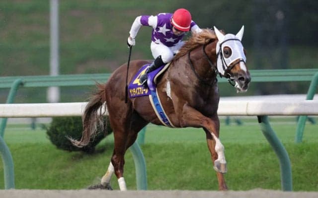 【クラスターC】小林師「ホッとしました」サンライズアムールが交流重賞初制覇