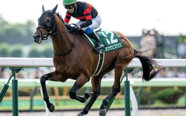 【札幌記念予想】臨戦過程も素直に評価 AIは実績上位の注目馬を指名