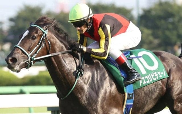 【ジャックルマロワ賞】アスコリピチェーノ＆ゴートゥファースト、現地で最終調整完了…13日の追い切りも上々