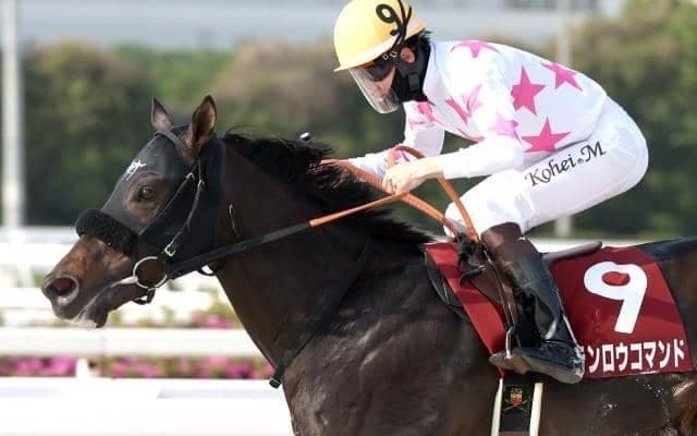 【門別・北海道SC注目馬】昨年から世代限定戦に変更 未来の短距離王者を目指す3歳馬による戦い 