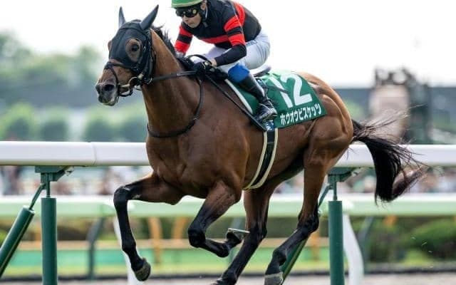 【札幌記念出走馬・騎手確定】ホウオウビスケッツ＆岩田康誠騎手、ステレンボッシュ＆池添謙一騎手など16頭