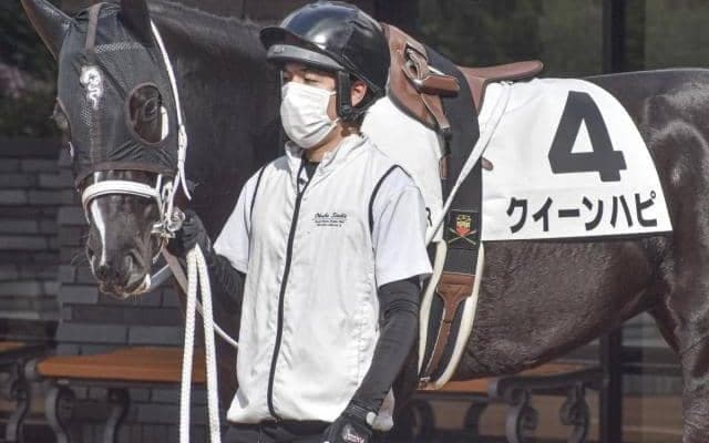 半兄は重賞2勝のアウトレンジ クイーンハピが待望の初勝利なるか