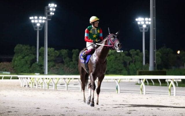 【黒潮盃】マウンテンローレル快勝…前年比増で盛況